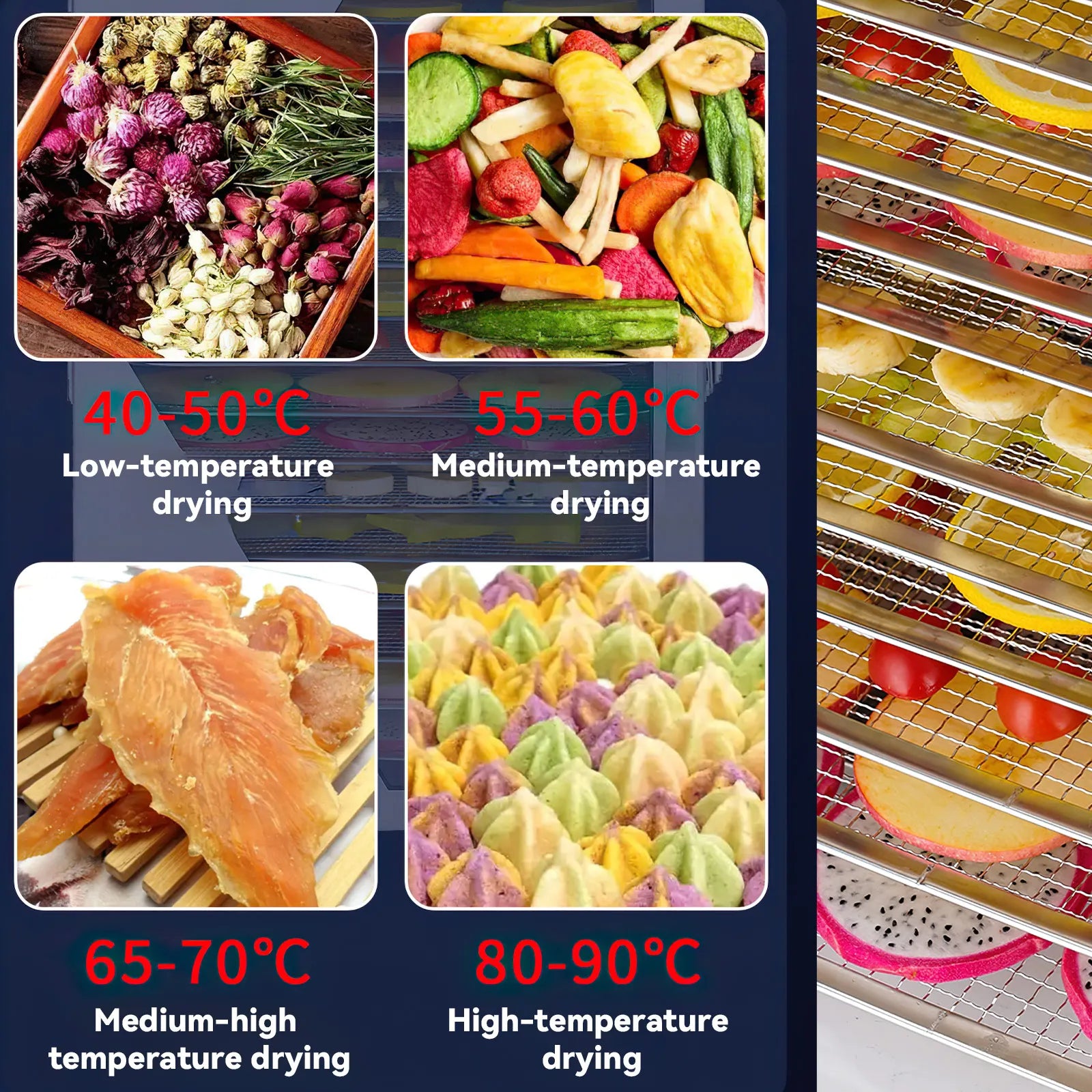 TKKEACE Dörrgerät Edelstahl 8-Fach - Kapazität 8 Tabletts, 800W Kompakt by Golden Bridge Store