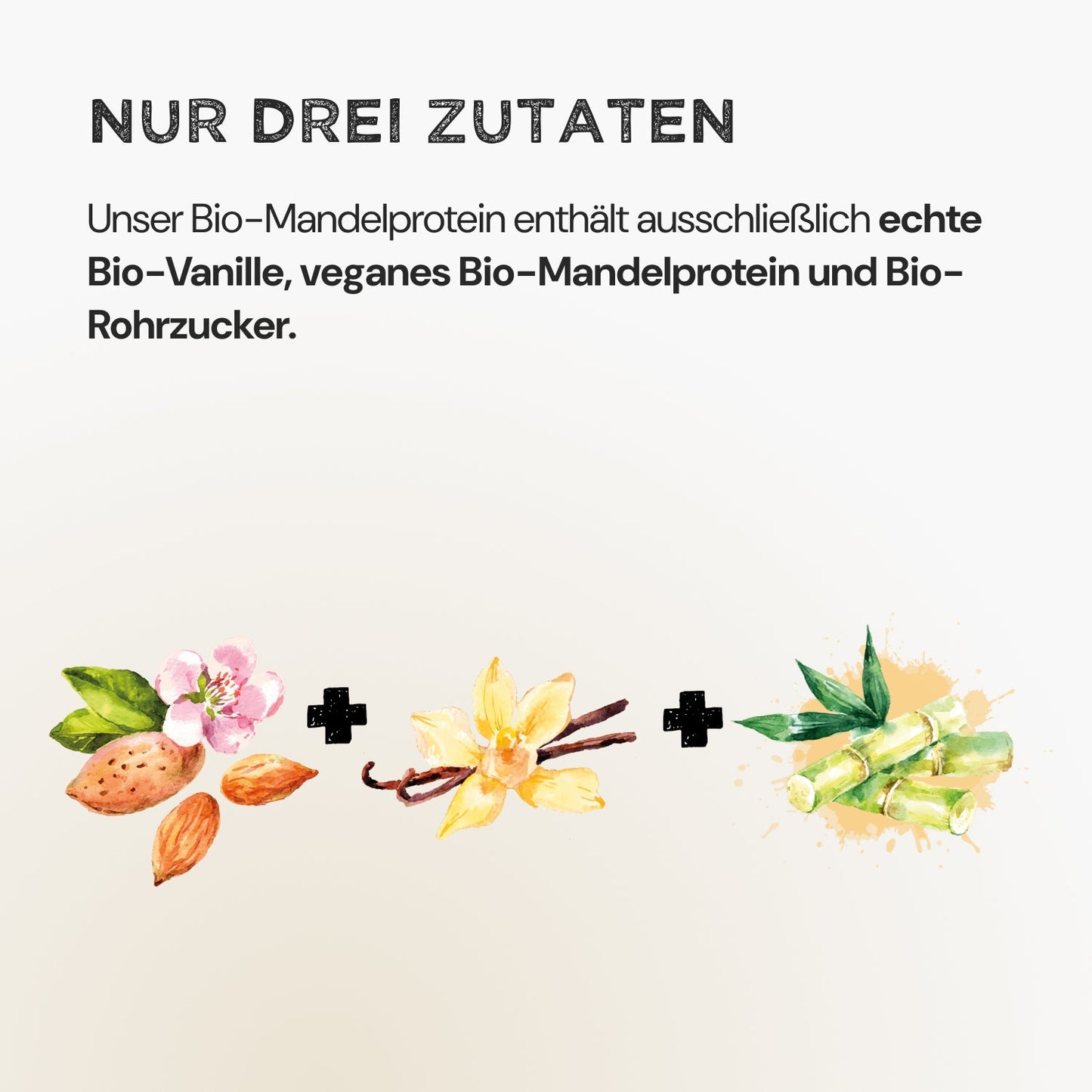 Almond Protein - Vanilla