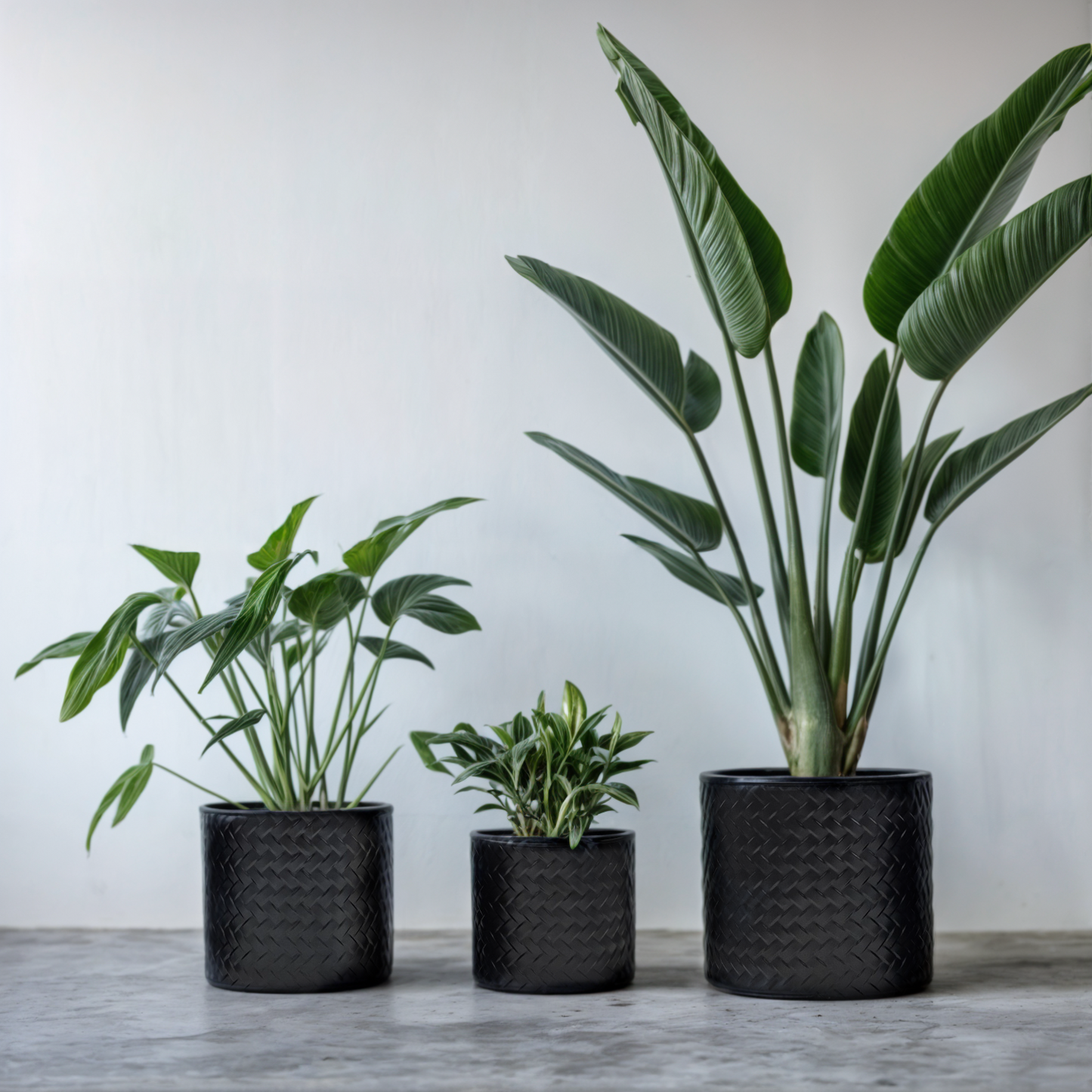 Blumentopf Rund Flechtoptik - Größen 17 20 23 cm Metall Matt