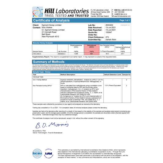 Miere ManukaWelt MGO 460+ - Capacitate borcan de sticlă 500g Origine Noua Zeelandă