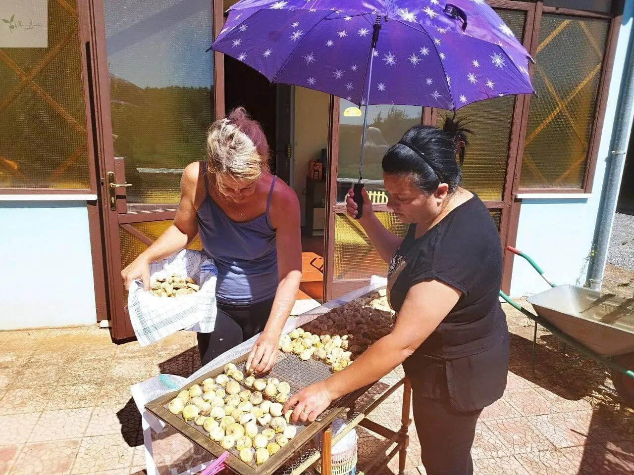 Smochine extra virgine uscate, uscate la soare - Capacitate aprox. 300g, Calabria, procesate ușor