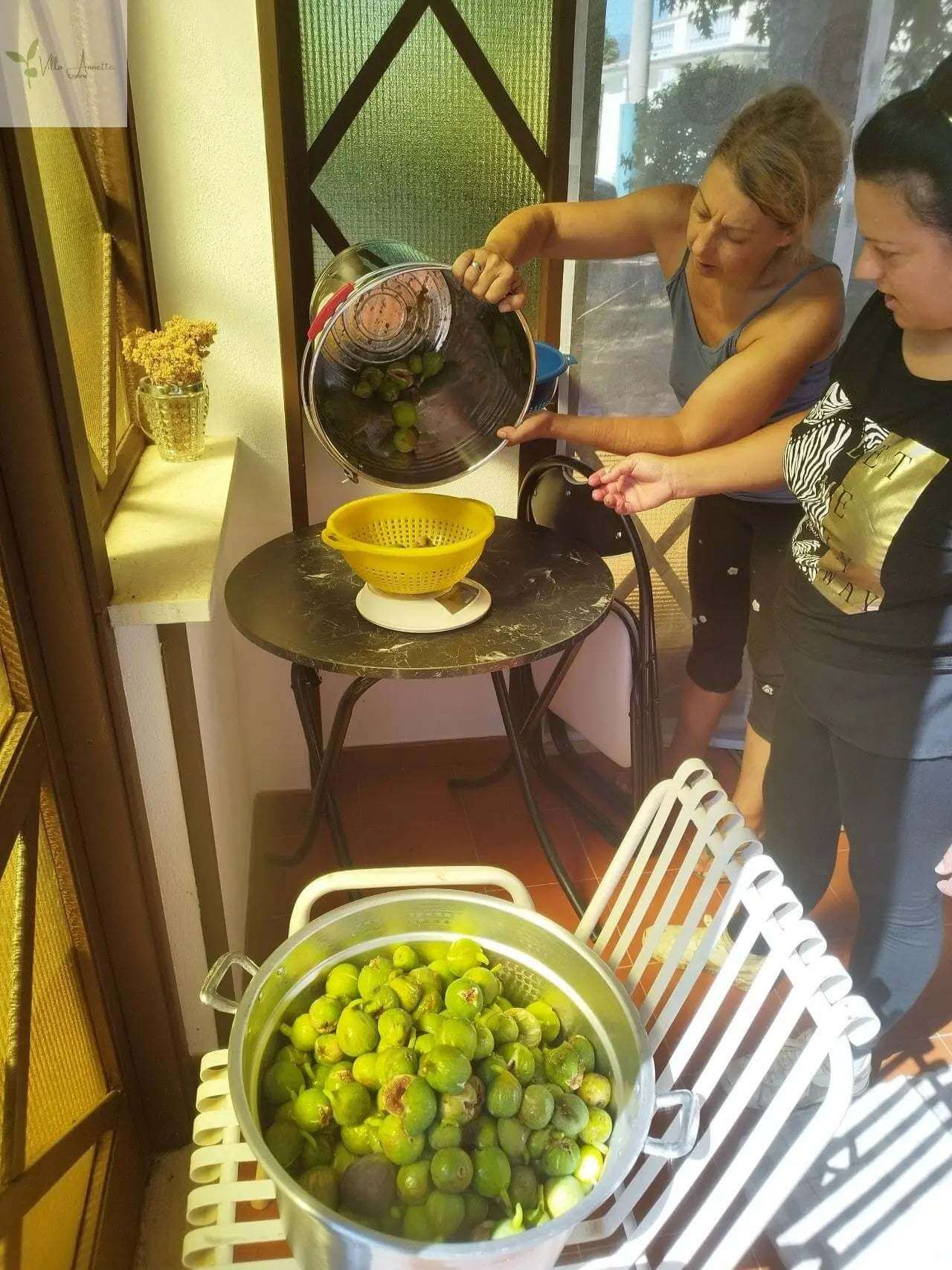 Miere de smochine extravirgină din smochine coapte complet - Capacitate 220 ml, Produsă din 10 kg de smochine la 1 litru, Diametru aprox. 6 cm