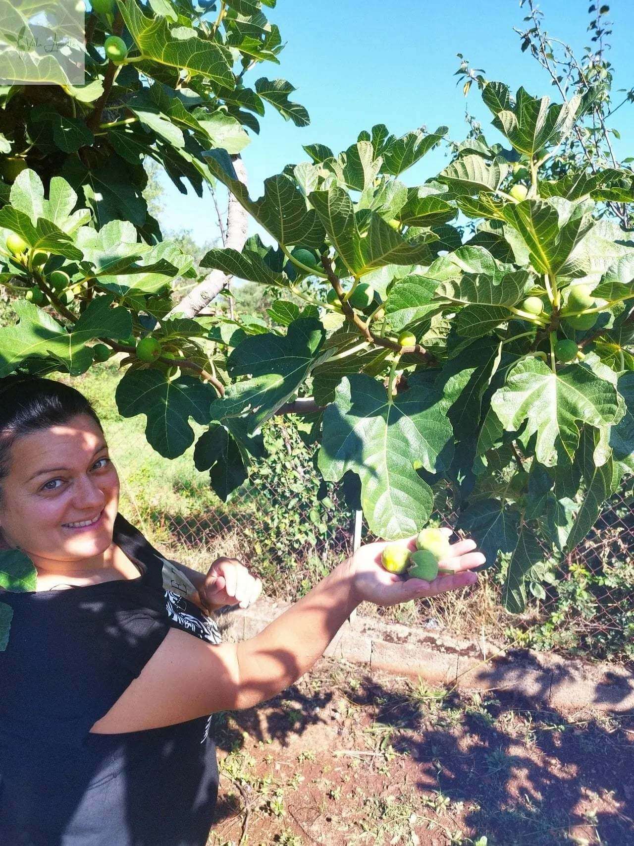 Dulceață de smochine Essenza di Calabria, făcută manual, 100% naturală - Conținut 250 g, borcan de sticlă, diametru 6 cm, înălțime 7 cm