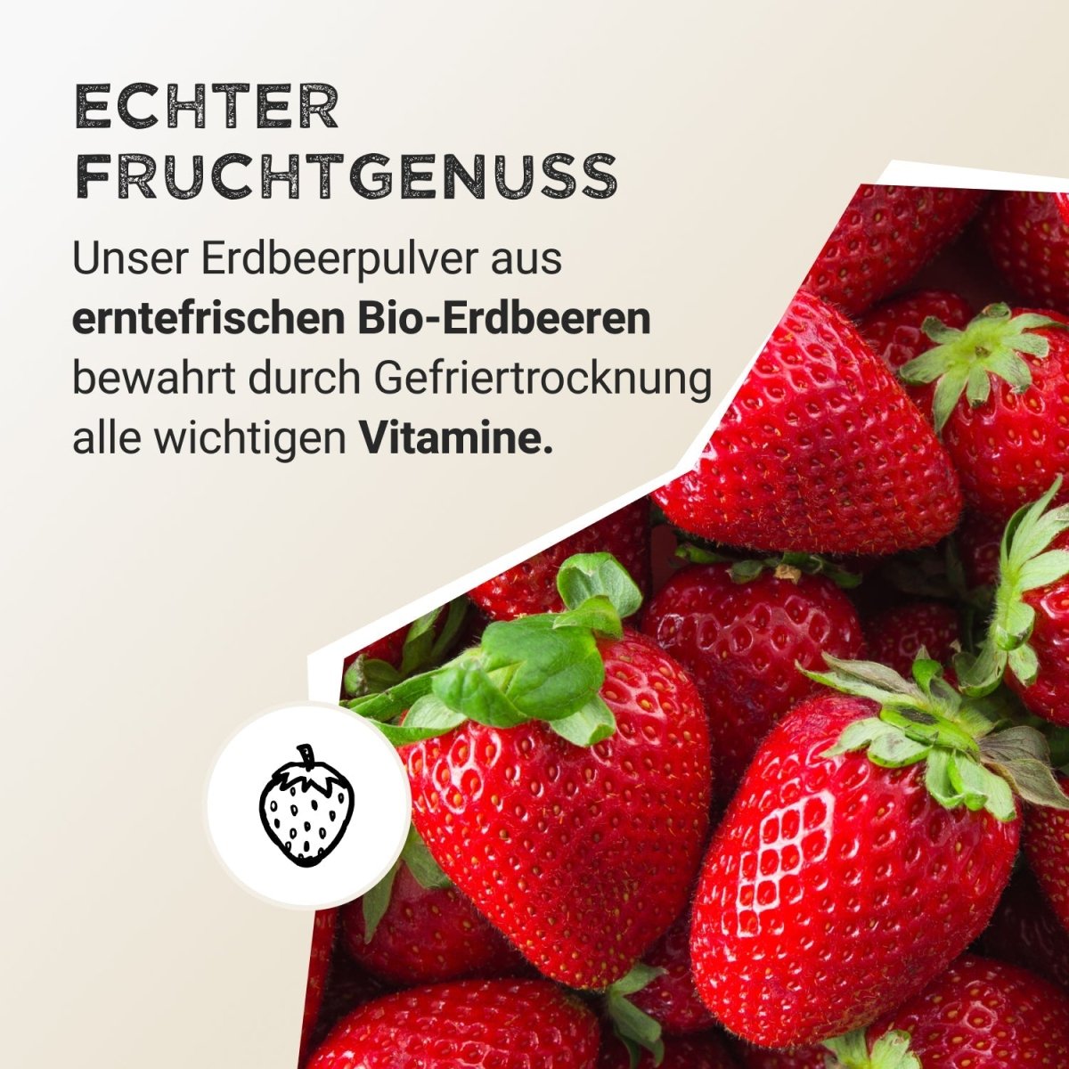 Pudră de fructe - Căpșuni