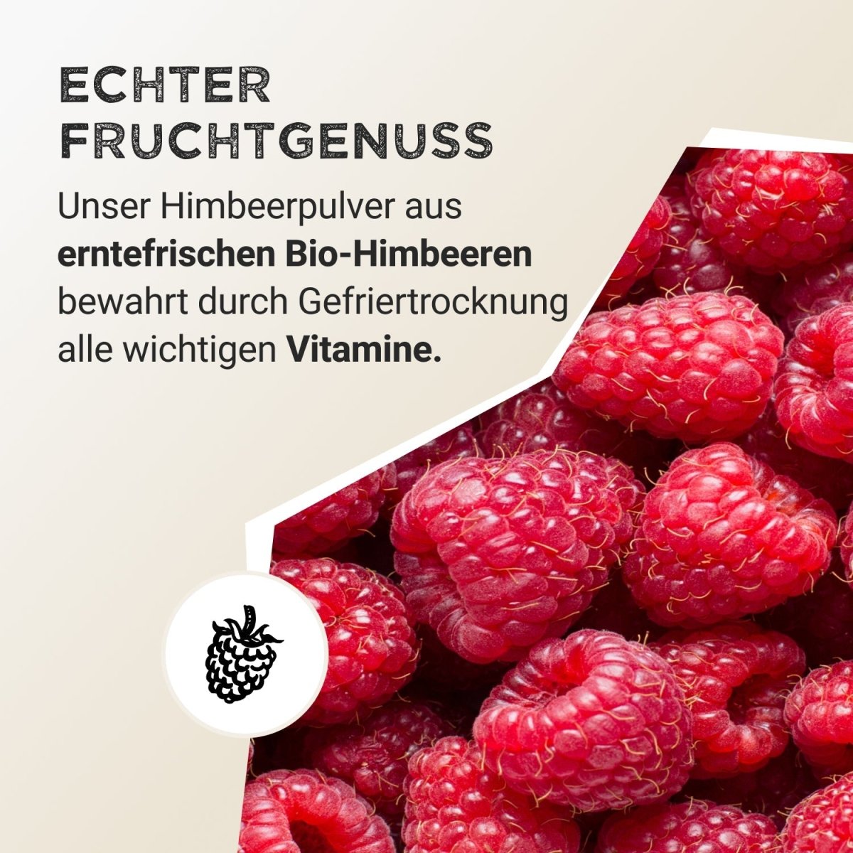 Pudră de fructe - Zmeură