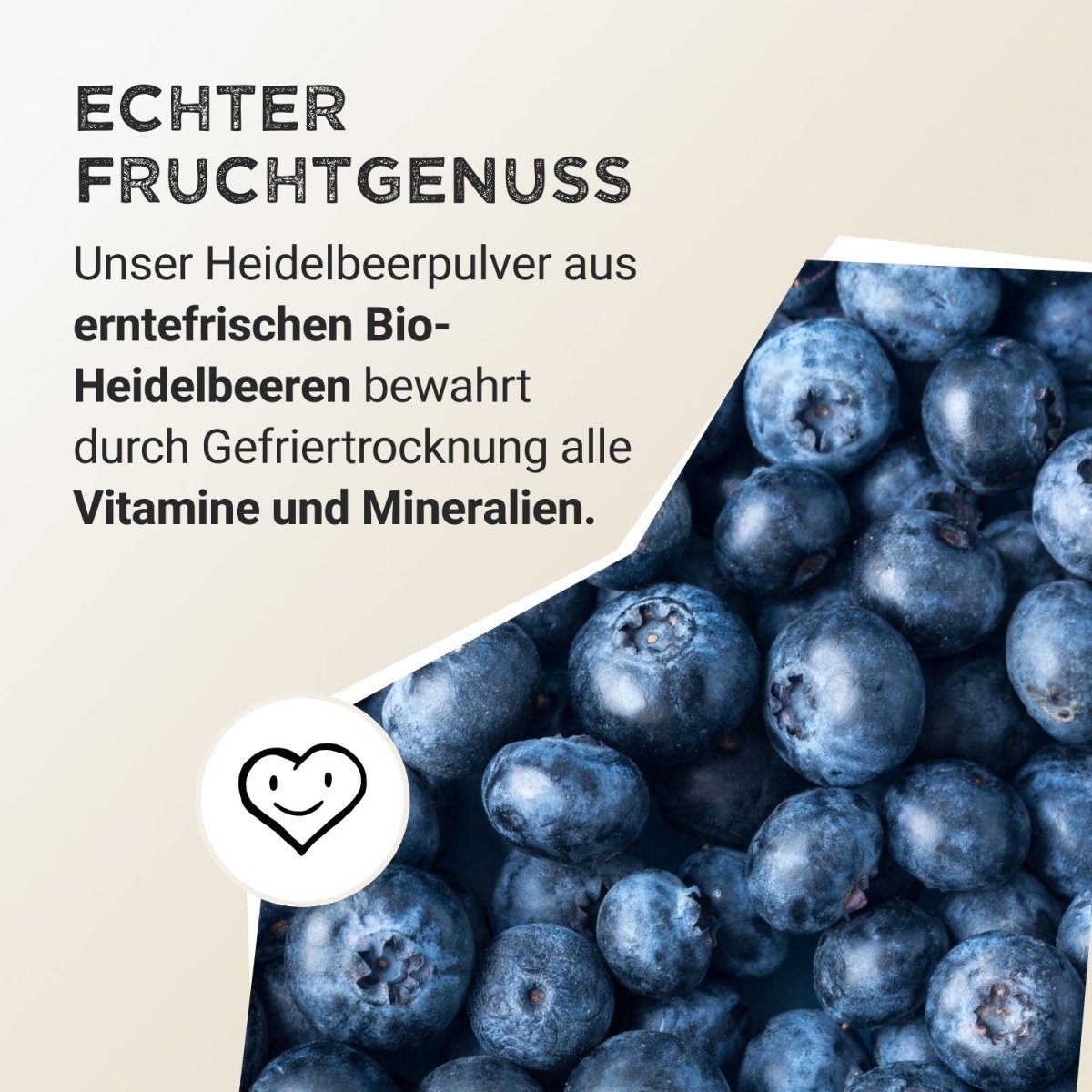 Pudră de fructe - Afine sălbatice