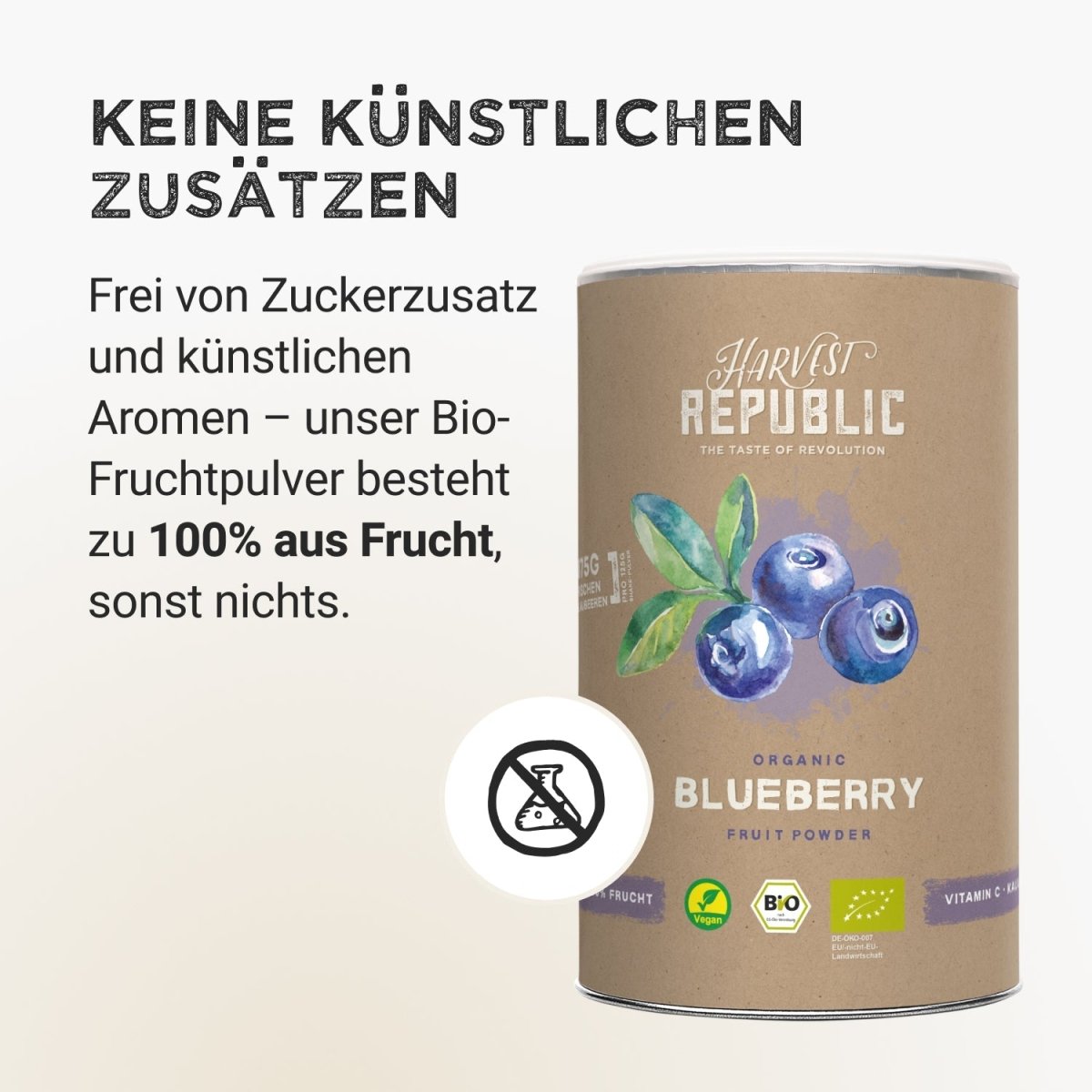 Pudră de fructe - Afine sălbatice