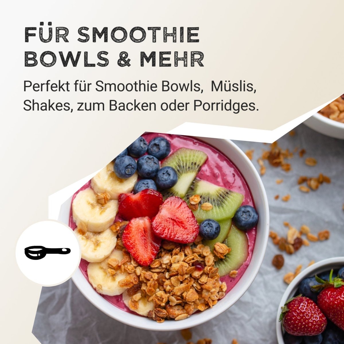 Pudră de fructe - Afine sălbatice