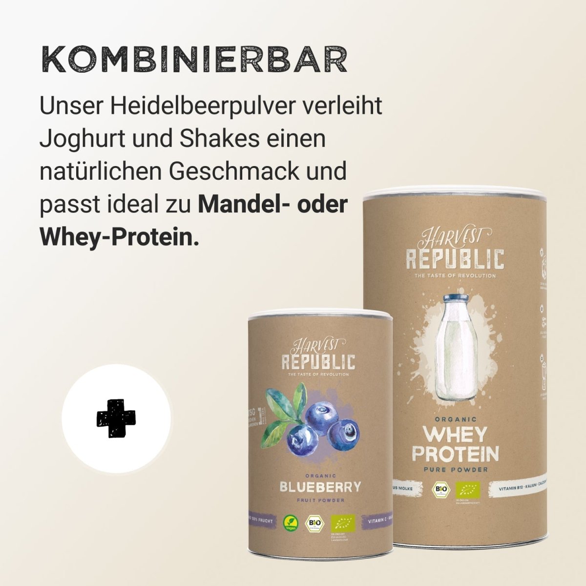 Pudră de fructe - Afine sălbatice