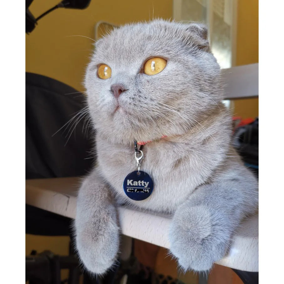 PAWFECT Anpassen Hund Katze ID Tag 2025: Graviert Personalisiert Haustier Halsband Anhänger - Name Knochen Schlüsselring Halskette Welpen Edelstahl Dropshipping