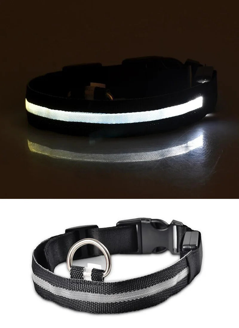 YUDODO Nylon LED Haustier Hund Halsbänder 2025: Nacht Sicherheit Blinkend Leuchtend Fluoreszierend - Tiere Hund Leine XS-XL 7 Farben Alle Jahreszeiten