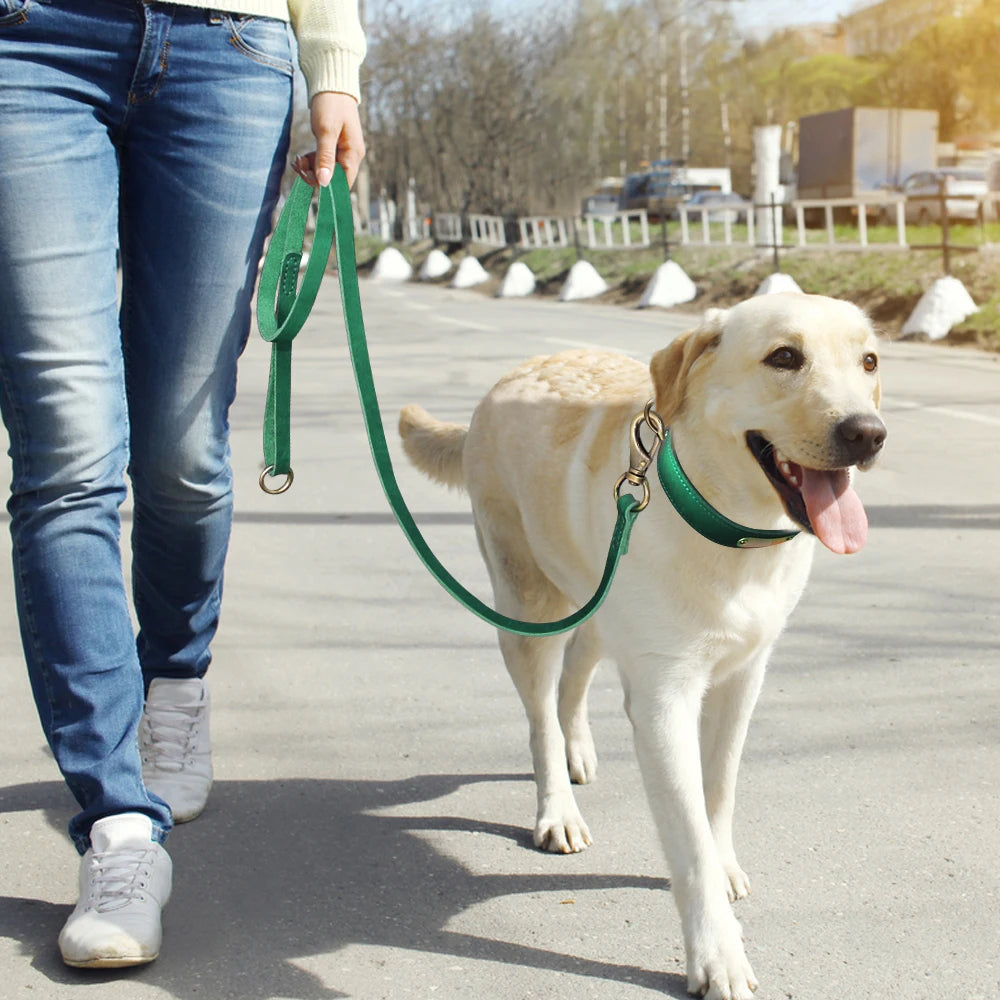 Anpassen Leder Hund Halsband Leine Set Personalisiert Haustier Halsband Leine Kostenlose Graviert Namensschild Für Kleine Mittlere Große Hunde