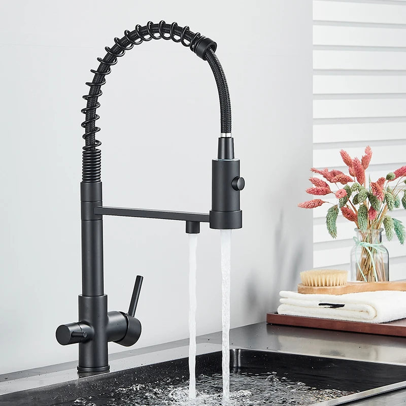 Schwarzer Gefilterter Küchen Wasserfilter