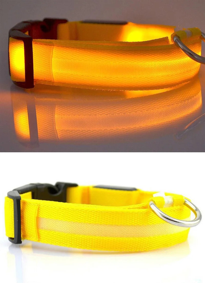 YUDODO Nylon LED Haustier Hund Halsbänder 2025: Nacht Sicherheit Blinkend Leuchtend Fluoreszierend - Tiere Hund Leine XS-XL 7 Farben Alle Jahreszeiten