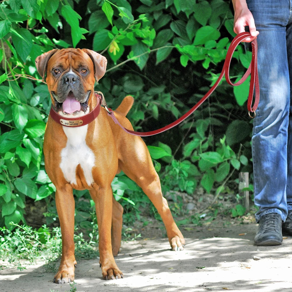 Anpassen Leder Hund Halsband Leine Set Personalisiert Haustier Halsband Leine Kostenlose Graviert Namensschild Für Kleine Mittlere Große Hunde