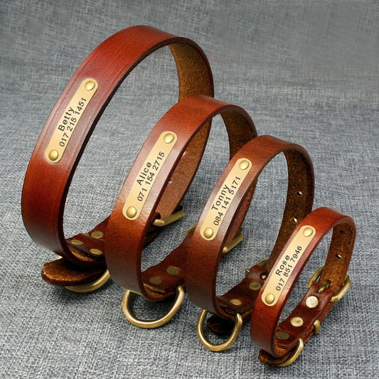Personalisiert Hund ID Halsband Echtes Leder Kleine Mittlere Hunde Katze Halsband Anpassen Haustier Name Und Telefonnummer Kostenlose Gravur