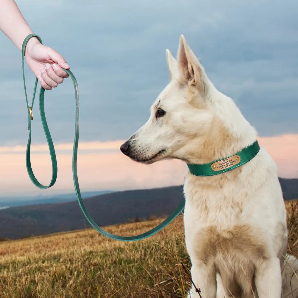 Anpassen Leder Hund Halsband Leine Set Personalisiert Haustier Halsband Leine Kostenlose Graviert Namensschild Für Kleine Mittlere Große Hunde