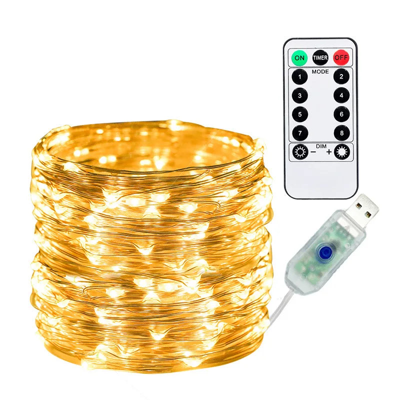 OSIDEN USB LED Lichterkette Mit Fernbedienung - Länge 5/10/20 m, Wasserdicht