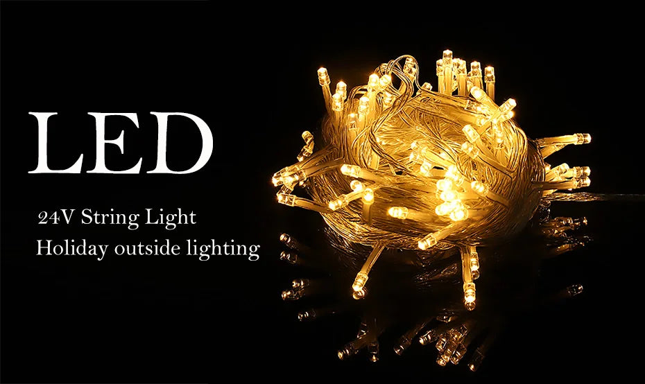 Foroureyes LED Lichterkette Wasserdicht 24V - Länge 100m, >200 LEDs