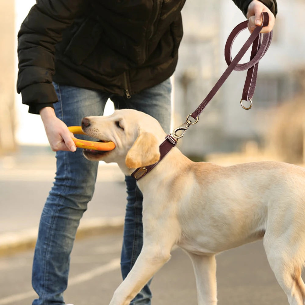 Anpassen Leder Hund Halsband Leine Set Personalisiert Haustier Halsband Leine Kostenlose Graviert Namensschild Für Kleine Mittlere Große Hunde