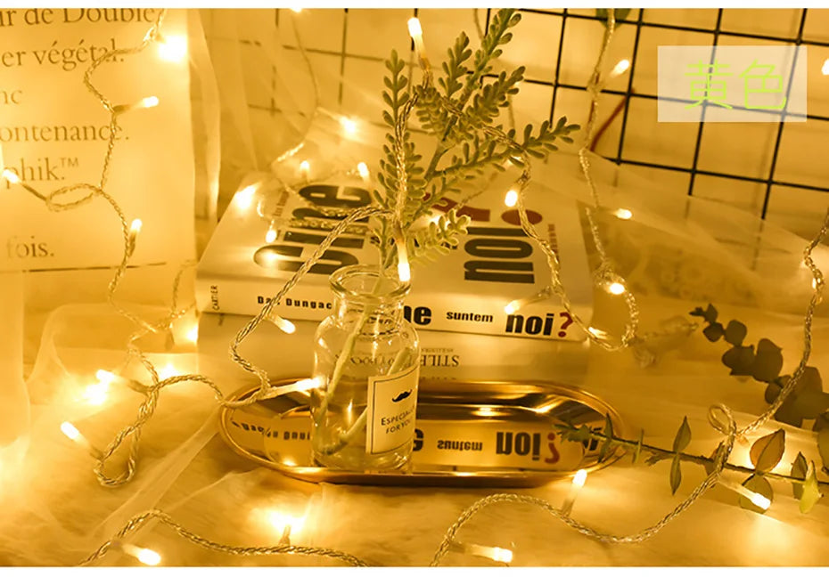 Foroureyes LED Lichterkette Wasserdicht 24V - Länge 100m, >200 LEDs