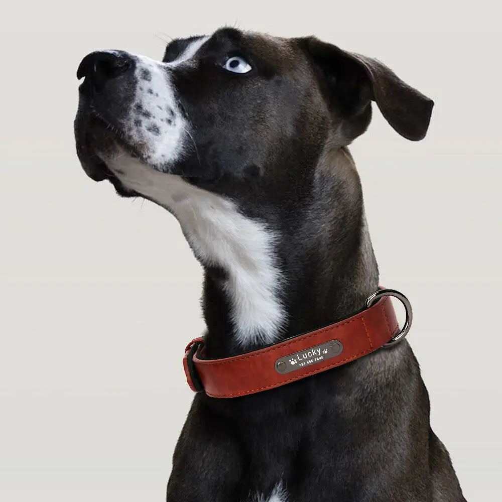 Anpassen Luxus Große Kleine Big Hund Halsband Leder Personalisiert, Breit Leder Personalisiert Halsband für Hunde Name Graviert
