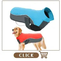 Personalisiert Hund ID Halsband Echtes Leder Kleine Mittlere Hunde Katze Halsband Anpassen Haustier Name Und Telefonnummer Kostenlose Gravur