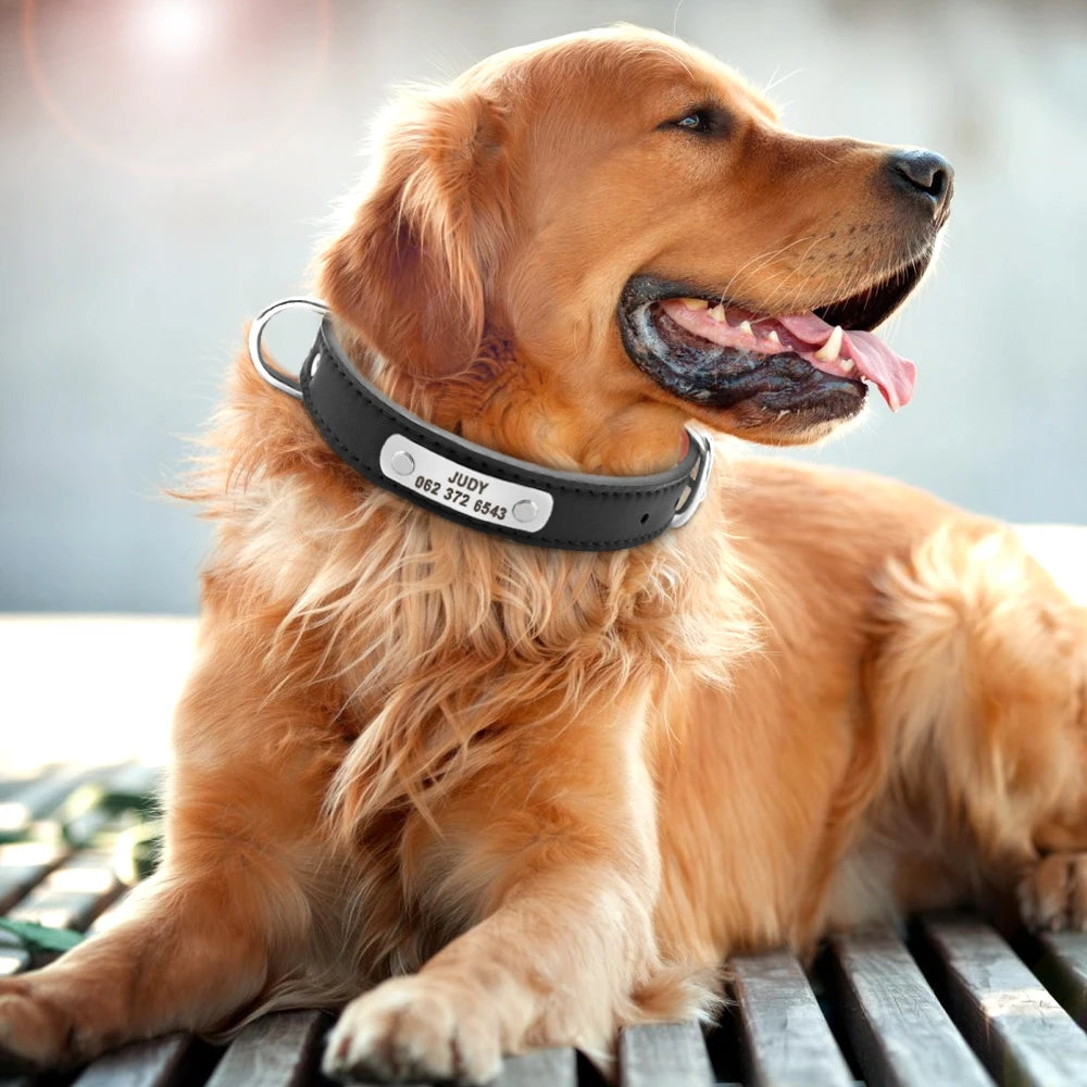 Großes Langlebiges Personalisiertes Hund Halsband PU Leder Gepolstert Haustier ID Halsbänder Angepasst für Kleine Mittlere Große Hunde Katze 4 Größe