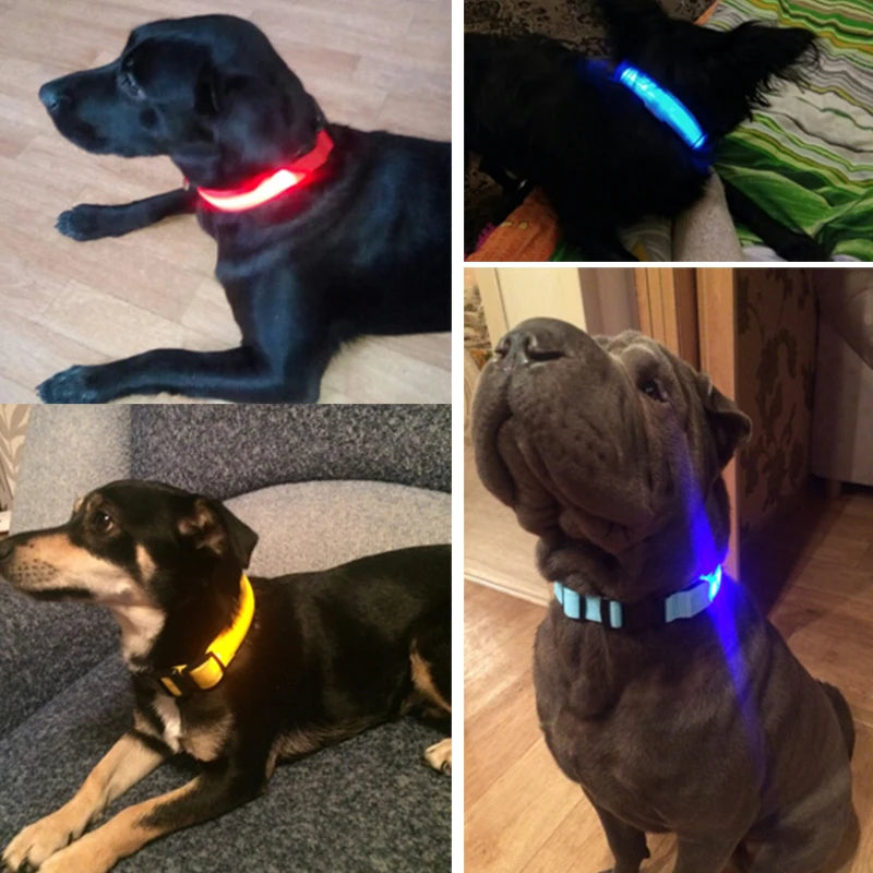 YUDODO Nylon LED Haustier Hund Halsbänder 2025: Nacht Sicherheit Blinkend Leuchtend Fluoreszierend - Tiere Hund Leine XS-XL 7 Farben Alle Jahreszeiten