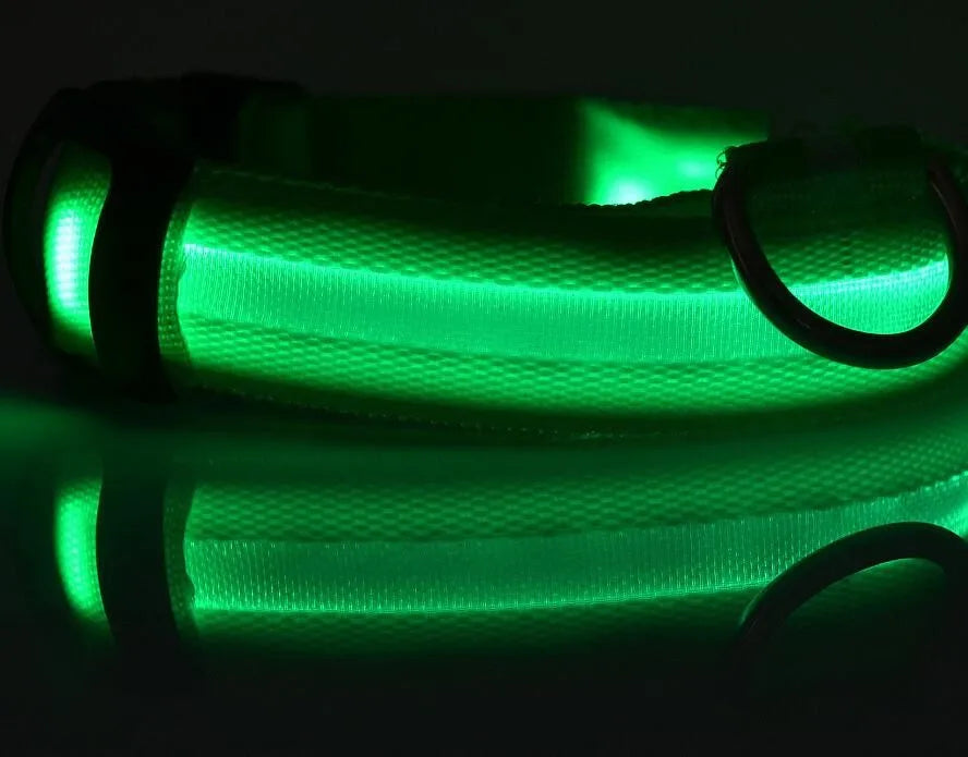 YUDODO Nylon LED Haustier Hund Halsbänder 2025: Nacht Sicherheit Blinkend Leuchtend Fluoreszierend - Tiere Hund Leine XS-XL 7 Farben Alle Jahreszeiten