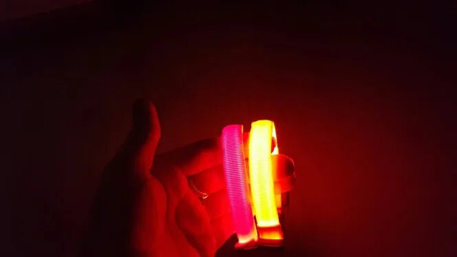 YUDODO Nylon LED Haustier Hund Halsbänder 2025: Nacht Sicherheit Blinkend Leuchtend Fluoreszierend - Tiere Hund Leine XS-XL 7 Farben Alle Jahreszeiten