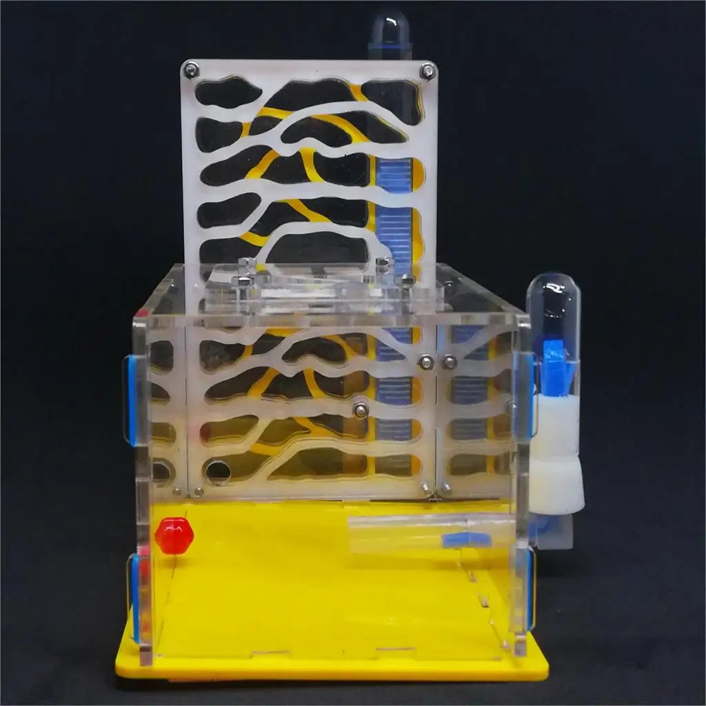 T design DIY  with feeding area ant nest ,ant farm acryl, insect ant nests villa pet mania for house ants