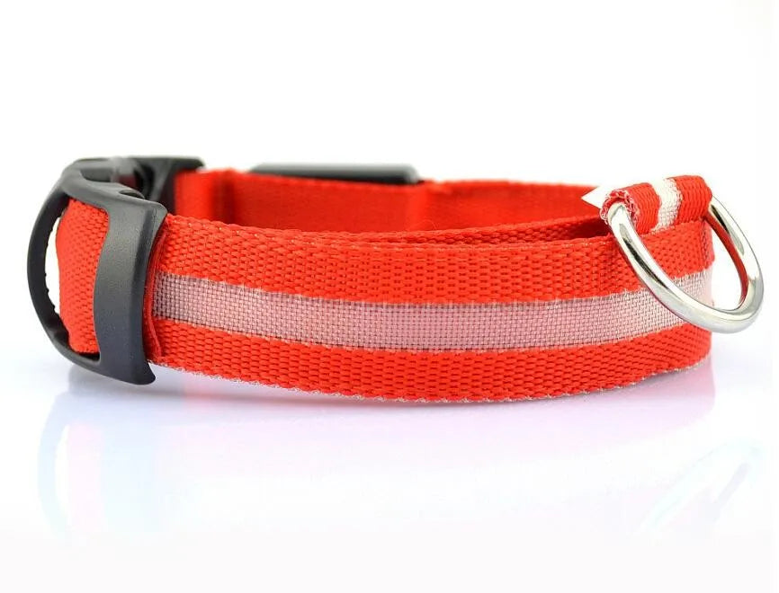 YUDODO Nylon LED Haustier Hund Halsbänder 2025: Nacht Sicherheit Blinkend Leuchtend Fluoreszierend - Tiere Hund Leine XS-XL 7 Farben Alle Jahreszeiten