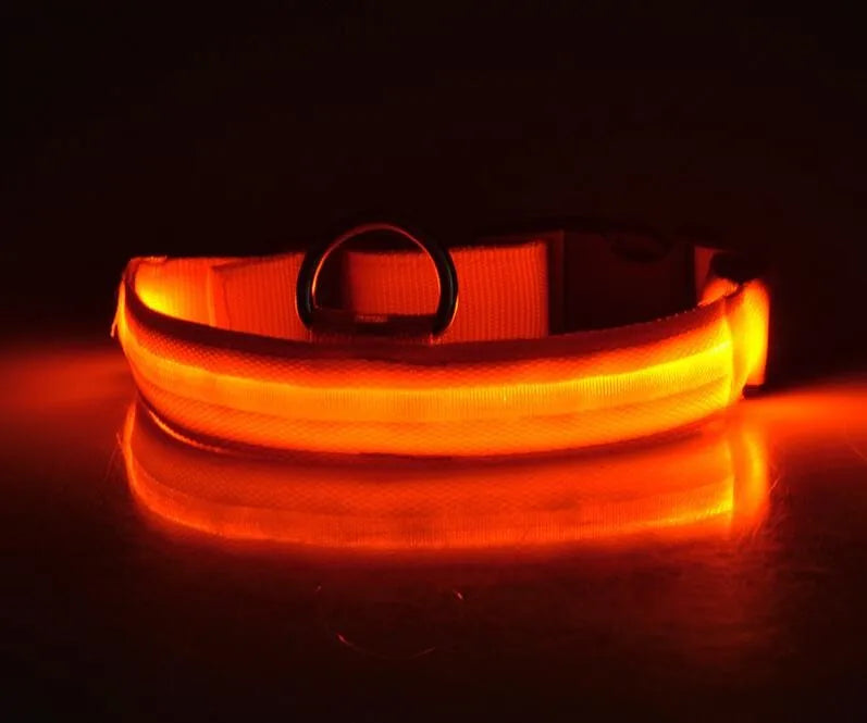 YUDODO Nylon LED Haustier Hund Halsbänder 2025: Nacht Sicherheit Blinkend Leuchtend Fluoreszierend - Tiere Hund Leine XS-XL 7 Farben Alle Jahreszeiten