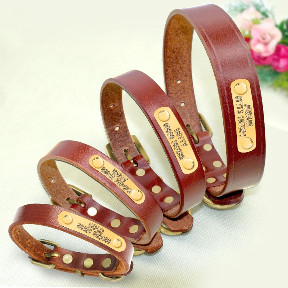 Personalisiert Hund ID Halsband Echtes Leder Kleine Mittlere Hunde Katze Halsband Anpassen Haustier Name Und Telefonnummer Kostenlose Gravur
