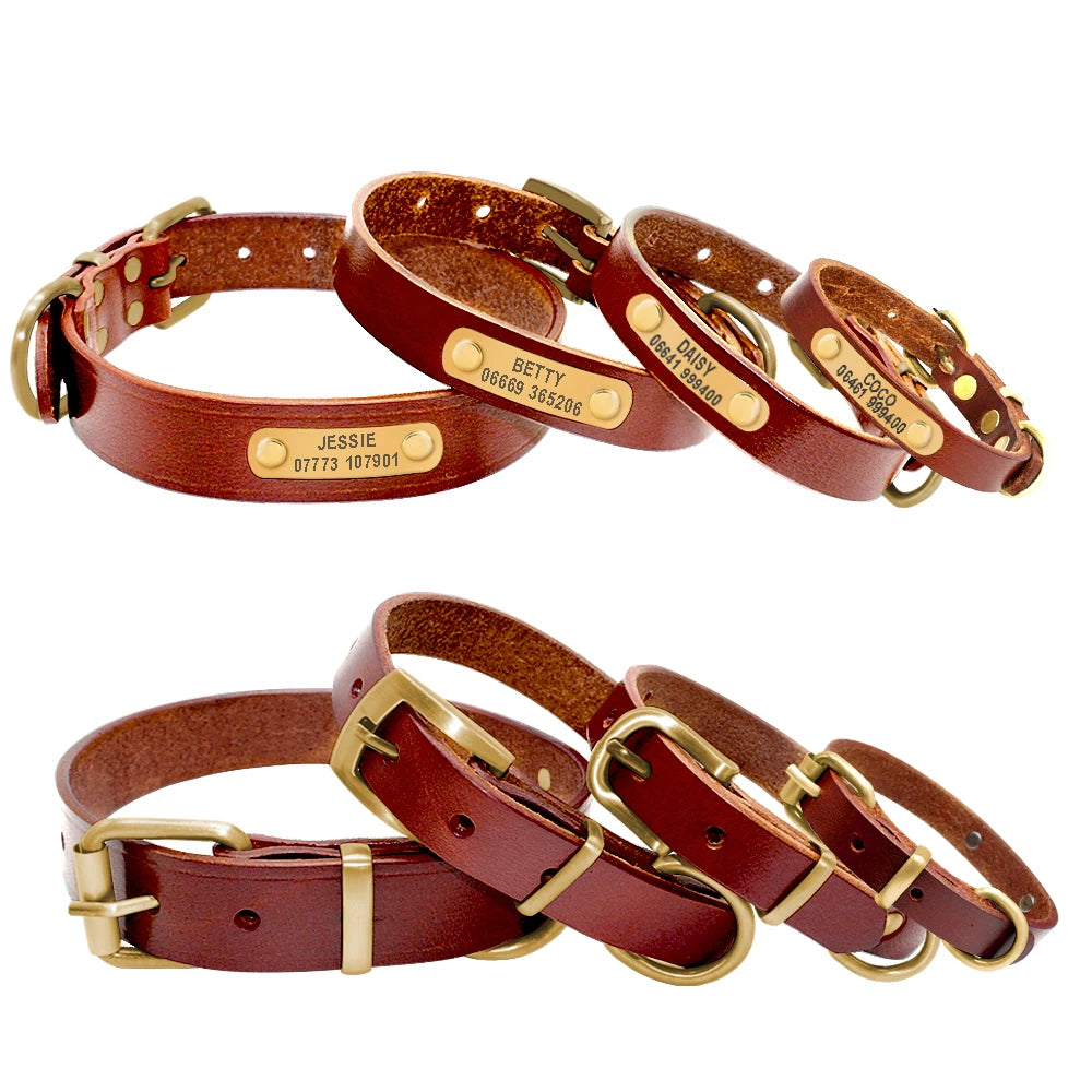 Personalisiert Hund ID Halsband Echtes Leder Kleine Mittlere Hunde Katze Halsband Anpassen Haustier Name Und Telefonnummer Kostenlose Gravur