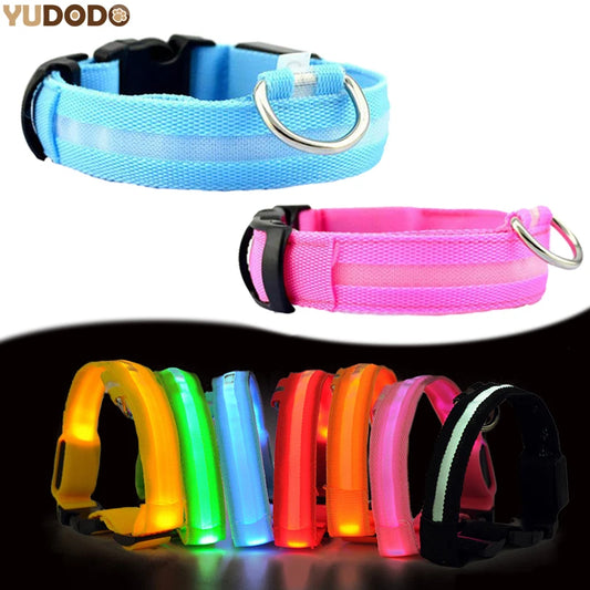 YUDODO Nylon LED Haustier Hund Halsbänder 2025: Nacht Sicherheit Blinkend Leuchtend Fluoreszierend - Tiere Hund Leine XS-XL 7 Farben Alle Jahreszeiten