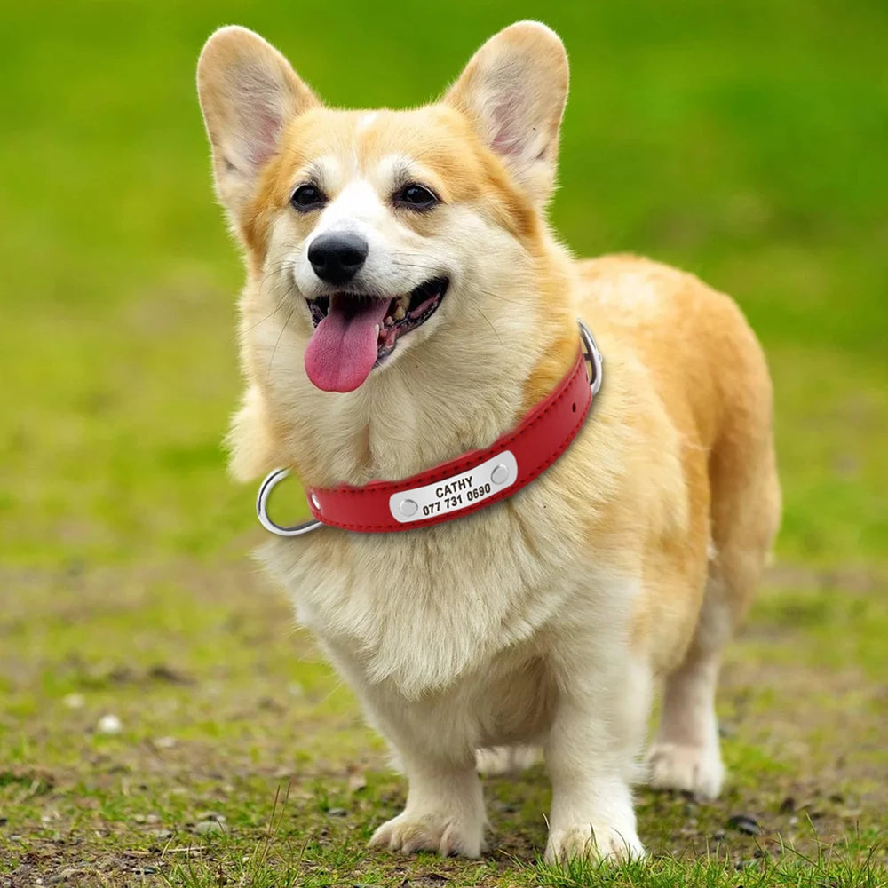 Großes Langlebiges Personalisiertes Hund Halsband PU Leder Gepolstert Haustier ID Halsbänder Angepasst für Kleine Mittlere Große Hunde Katze 4 Größe