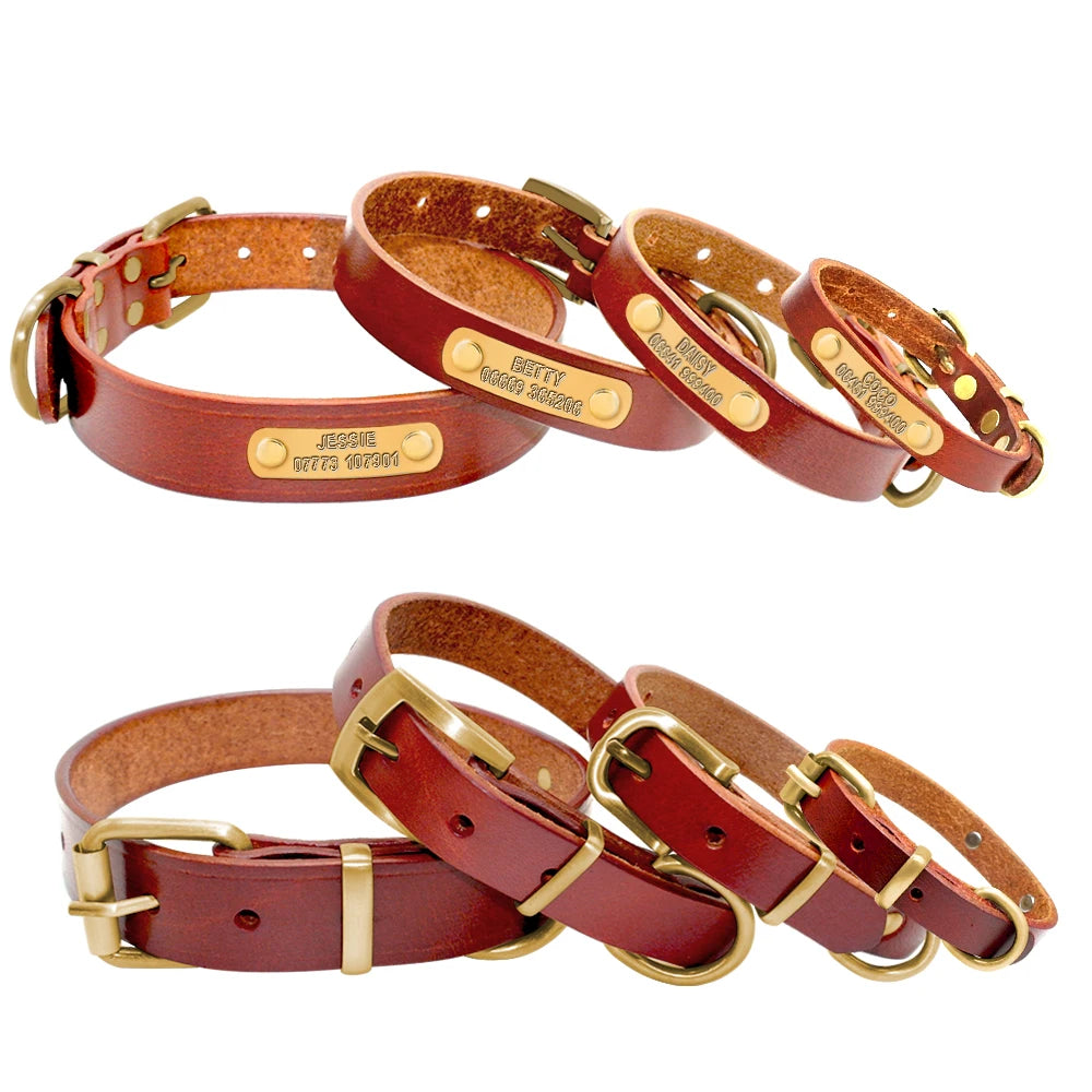 Personalisiert Hund ID Halsband Echtes Leder Kleine Mittlere Hunde Katze Halsband Anpassen Haustier Name Und Telefonnummer Kostenlose Gravur