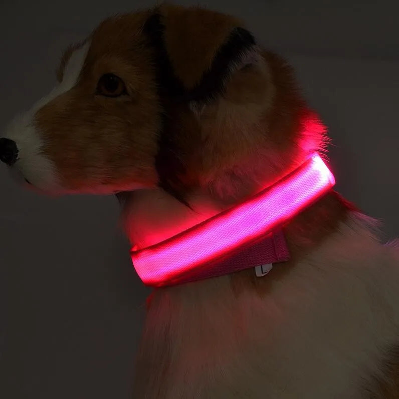 YUDODO Nylon LED Haustier Hund Halsbänder 2025: Nacht Sicherheit Blinkend Leuchtend Fluoreszierend - Tiere Hund Leine XS-XL 7 Farben Alle Jahreszeiten