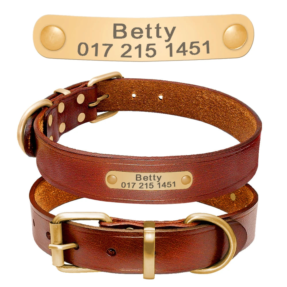 Personalisiert Hund ID Halsband Echtes Leder Kleine Mittlere Hunde Katze Halsband Anpassen Haustier Name Und Telefonnummer Kostenlose Gravur
