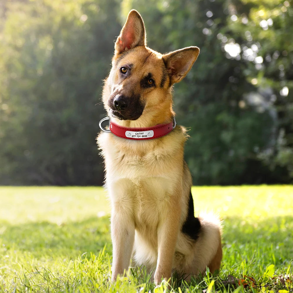 Großes Langlebiges Personalisiertes Hund Halsband PU Leder Gepolstert Haustier ID Halsbänder Angepasst für Kleine Mittlere Große Hunde Katze 4 Größe