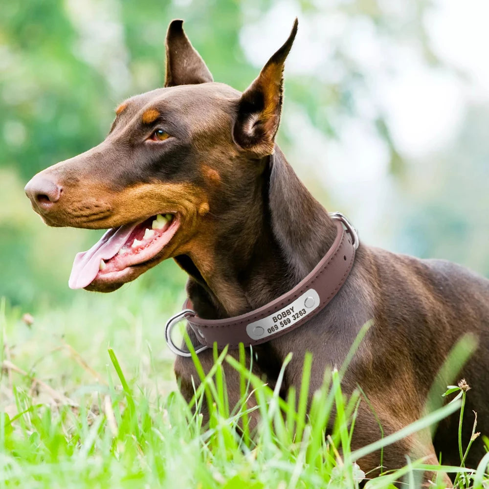 Großes Langlebiges Personalisiertes Hund Halsband PU Leder Gepolstert Haustier ID Halsbänder Angepasst für Kleine Mittlere Große Hunde Katze 4 Größe