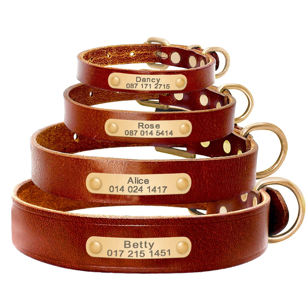 Personalisiert Hund ID Halsband Echtes Leder Kleine Mittlere Hunde Katze Halsband Anpassen Haustier Name Und Telefonnummer Kostenlose Gravur