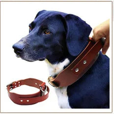 Personalisiert Hund ID Halsband Echtes Leder Kleine Mittlere Hunde Katze Halsband Anpassen Haustier Name Und Telefonnummer Kostenlose Gravur