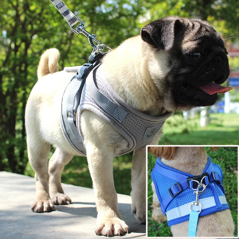 Reflektierend Katze Geschirr Leine Set 2025: YUDODO Nylon Mesh Kätzchen Welpen - Hunde Weste Geschirr Yorkies Mops S/M/L/XL Atmungsaktiv Verstellbar Schnell Lösbar