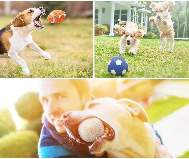 HOOPET Haustier Hund Spielzeug Bälle 2025: Quietsch Welpen Spielzeug Tennis Fußball - Zahn Reinigung Gummi Orange Weiß Blau Hunderassen Spielspaß