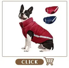Personalisiert Hund ID Halsband Echtes Leder Kleine Mittlere Hunde Katze Halsband Anpassen Haustier Name Und Telefonnummer Kostenlose Gravur