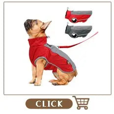 Personalisiert Hund ID Halsband Echtes Leder Kleine Mittlere Hunde Katze Halsband Anpassen Haustier Name Und Telefonnummer Kostenlose Gravur