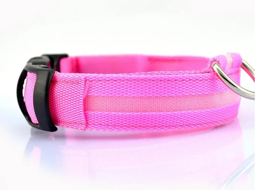 YUDODO Nylon LED Haustier Hund Halsbänder 2025: Nacht Sicherheit Blinkend Leuchtend Fluoreszierend - Tiere Hund Leine XS-XL 7 Farben Alle Jahreszeiten